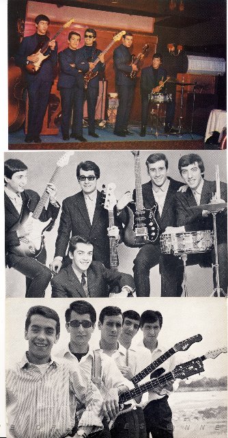 LES DAUPHINS 1966.jpg